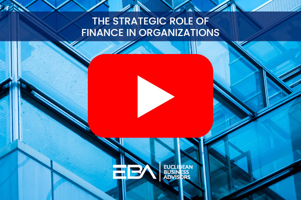The Strategic Role of Finance in Organizations